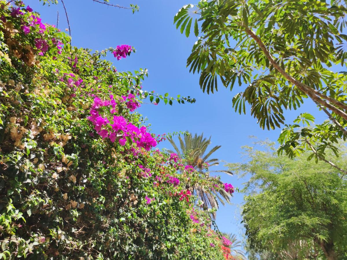 Villa Zinnia Playa Blanca  Buitenkant foto